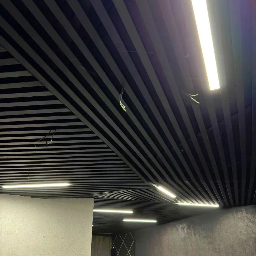 Фото 12 Стальная рейка на потолке RAL9005 МАТТЕ Черный матовый